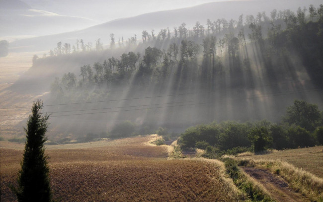Обои картинки фото природа, восходы, закаты, утро, туман, поле, дорога, свет