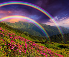 Картинка природа пейзажи пейзаж горы цветы радуга nature landscape mountains flowers rainbows