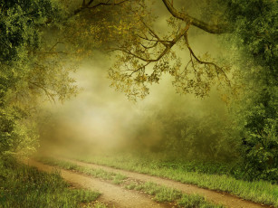 Картинка природа лес тропинка туман