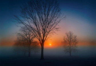 Картинка природа восходы закаты туман дерево солнце утро рассвет