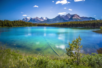Картинка природа реки озера лес озеро прозрачность горы
