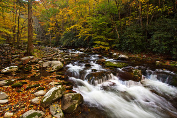 Картинка природа реки озера осень лес ручей камни листва