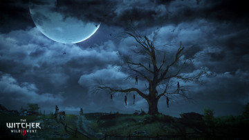 обоя the witcher 3,  wild hunt, видео игры, висельники, луна, дерево