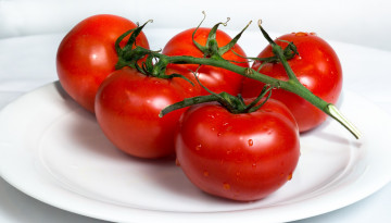 Картинка еда помидоры тарелка томаты