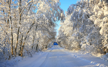 Картинка природа зима снег пейзаж