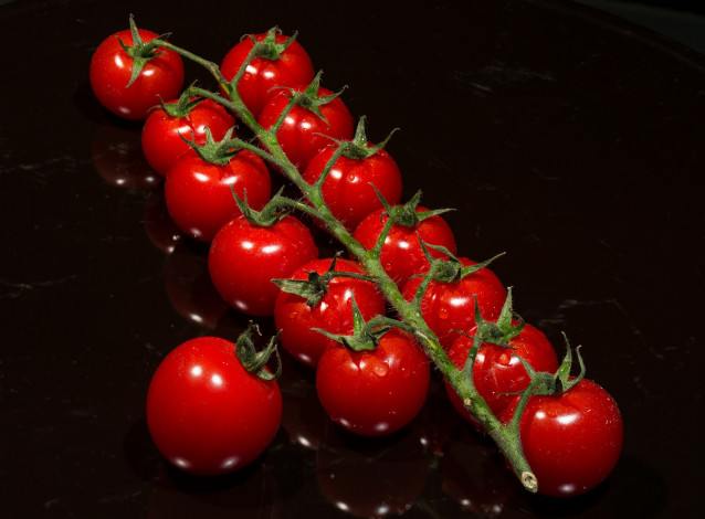 Обои картинки фото еда, помидоры, ветка, томаты