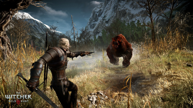Обои картинки фото the witcher 3,  wild hunt, видео игры, медведь, колдун