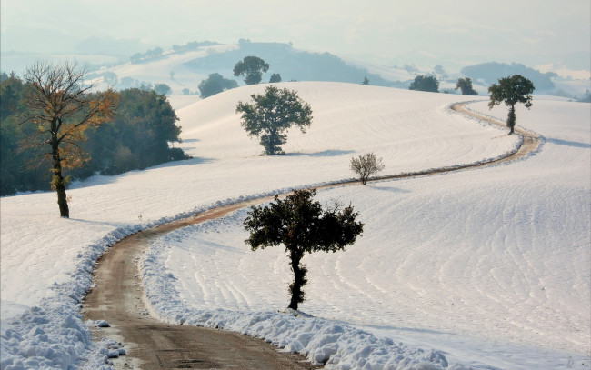 Обои картинки фото природа, зима, снег, дорога, поле