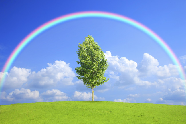 Обои картинки фото природа, деревья, поле, дерево, радуга, nature, field, tree, rainbow