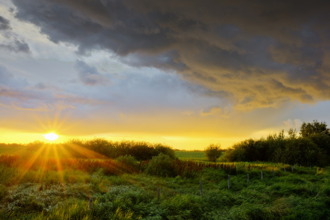 Обои картинки фото природа, восходы, закаты, поле, трава, тучи, солнце, свет