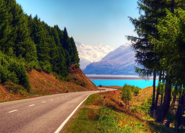 Обои картинки фото природа, дороги, дорога, новая, зеландия, деревья, озеро