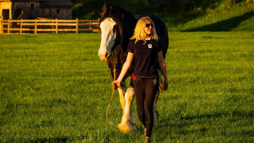 Картинка девушки -unsort+ блондинки лошадь наездница конь женщина