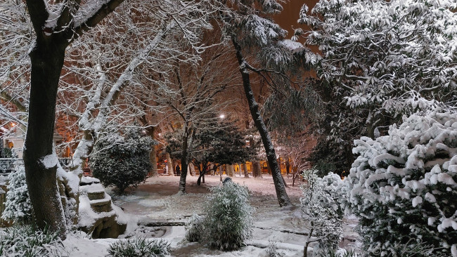 Обои картинки фото природа, парк, зима, снег, вечер