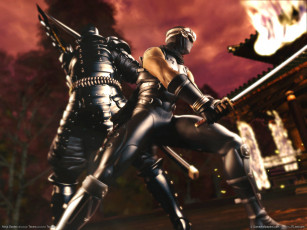 Картинка видео игры ninja gaiden