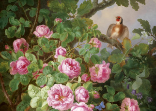Картинка рисованные цветы щегол розы