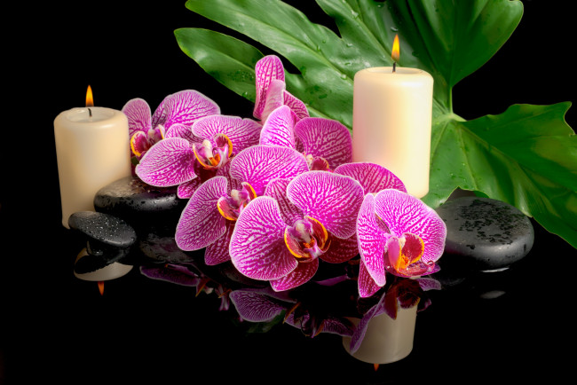 Обои картинки фото цветы, орхидеи, свечи, капли, спа, камни, листок