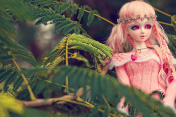 Картинка разное игрушки игрушка кукла листья