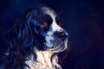 Картинка рисованное животные +собаки синий фон