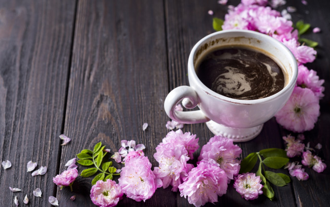Обои картинки фото еда, кофе,  кофейные зёрна, чашка, цветы