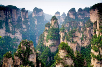 Картинка природа горы лес вершины скалы китай