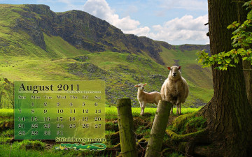 Картинка календари животные овцы деревья горы