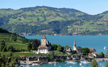 Картинка швейцария берн шпиц города пейзажи