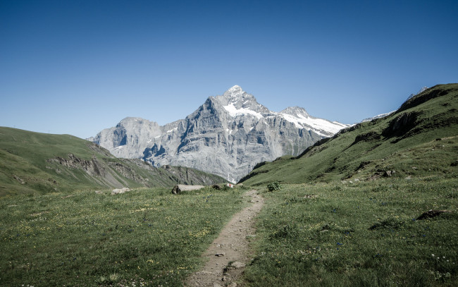 Обои картинки фото grindelwald, switzerland, природа, горы, тропинка, швейцария, альпы, гриндельвальд, alps