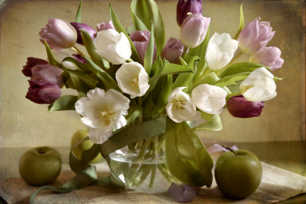 Картинка цветы тюльпаны текстура яблоко букет