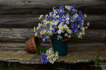 Картинка цветы луговые+ полевые +цветы натюрморт лето