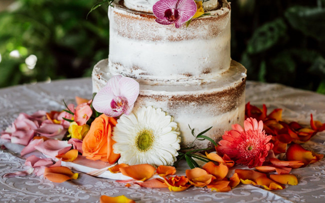 Обои картинки фото еда, торты, двухъярусный, торт, лепестки, гербера, роза, орхидея
