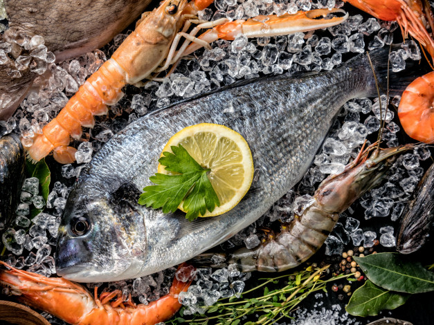 Обои картинки фото еда, рыба,  морепродукты,  суши,  роллы, лед, креветки, лимон