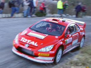 Картинка peugeot 307 coupe rally version спорт авторалли