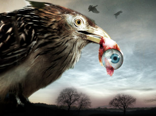 Картинка flu bird horror кино фильмы глаз птица
