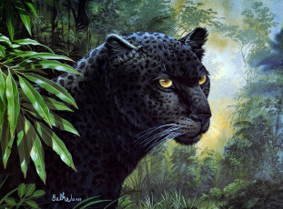Картинка рисованные don balke черная пантера