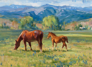Картинка рисованные loren entz лошадь и жеребенок