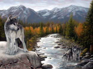 Картинка рисованные животные волки горы река лес