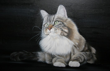 Картинка рисованные животные коты кот мария емельянова