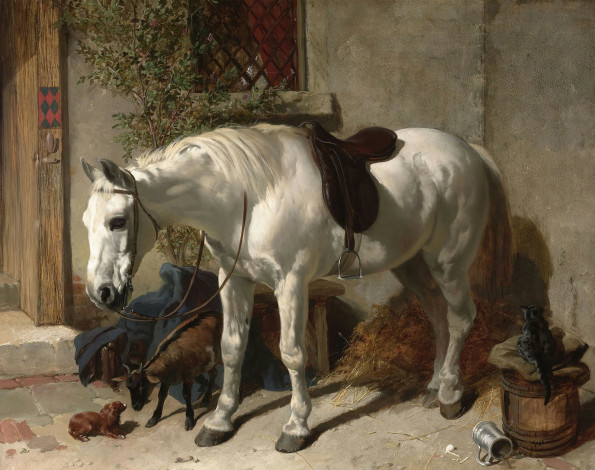 Обои картинки фото рисованные, john, frederick, herring, белая, лошадь
