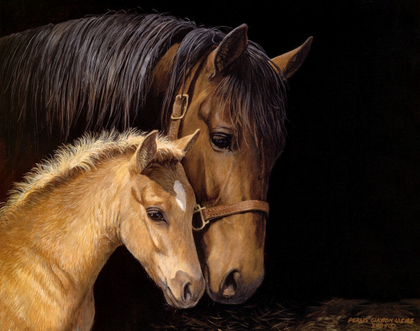 Обои картинки фото рисованные, persis, clayton, weirs, лошадь, и, жеребенок