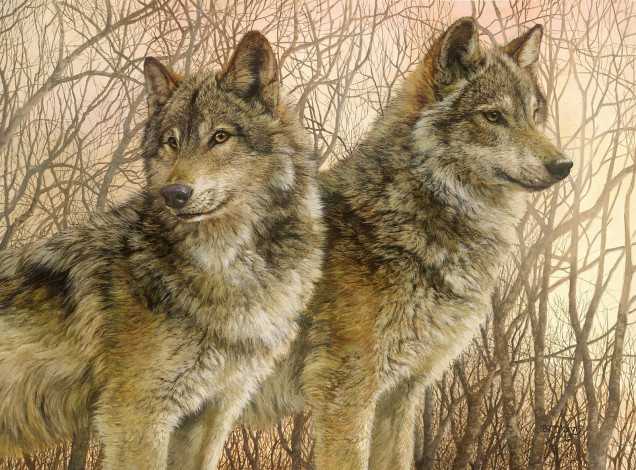 Обои картинки фото рисованные, marris, bonnie, волки