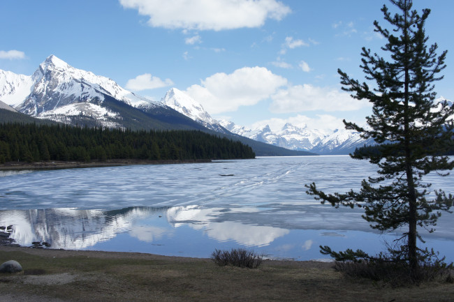Обои картинки фото maligne, lake, jasper, national, park, canada, природа, реки, озера, озеро, горы, пейзаж