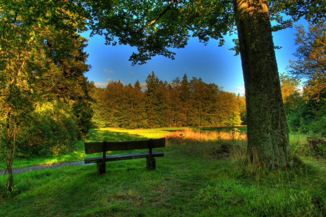 Обои картинки фото германия, гессен, шотен, природа, парк, лес, поляна, скамейка, трава