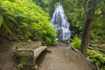 Картинка природа водопады скамья заросли водопад