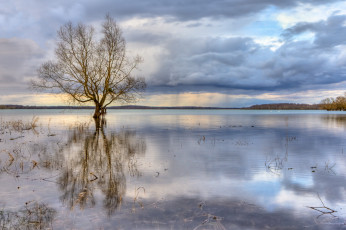 Картинка природа реки озера отражение облака дерево озеро тучи