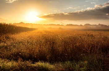 Картинка природа восходы закаты рассвет поле утро туман