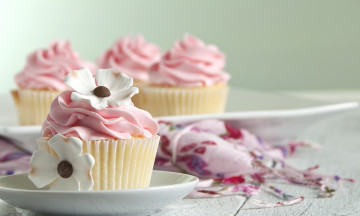 Картинка еда пирожные +кексы +печенье крем кексы десерт сладкое торт muffins dessert cupcake cake cream sweet flowers food