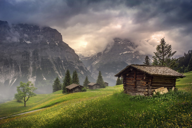 Обои картинки фото природа, горы, гриндельвальд, домики, туман, облако, цветы, долина, швейцария, в, кантоне, берн