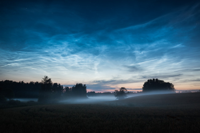 Обои картинки фото природа, поля, рассвет, утро, туман, поле, деревья