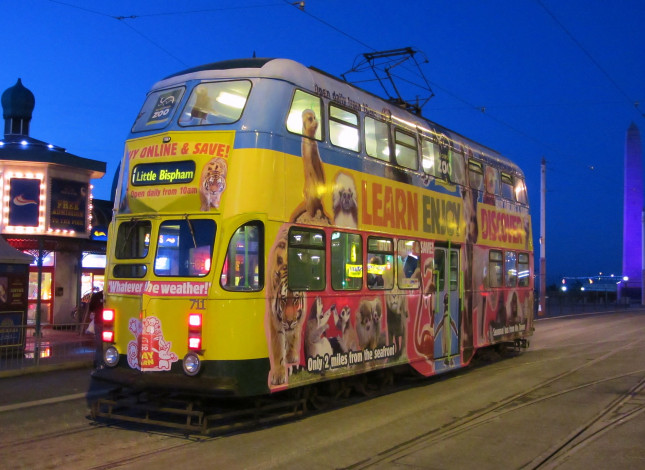 Обои картинки фото техника, трамваи, трамвай, транспорт, рельсы