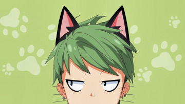 Картинка аниме nora+to+oujo+to+noraneko boy anime cat nora to oujo noraneko by sanoboss face nelo japanese green manga head
